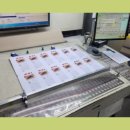 하나로쇼핑 이미지