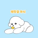 스테이 댕댕 이미지