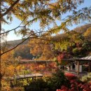 뽀빠이치킨 이미지