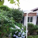 양지민박 이미지