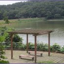 갈치호수길 이미지