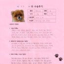 1477 | [#1477] 루루(양측 슬개골탈구 G3 / 양측 전방십자인대)의 수술후기