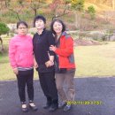 홍천초등학교 이미지