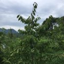 바우농장 이미지