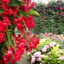 북촌 해동 이미지