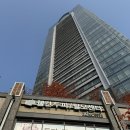 센텀동로 | 부산 해운대 두피관리 후기! 웰킨두피탈모센터 해운대점 두피진정케어