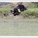 요술공주 이미지