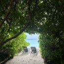 말리비치 | 여행 후기 - 몰디브 코모 말리푸시 리조트 (1)