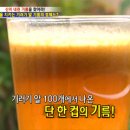 몽산포 기러기농장 티스토리