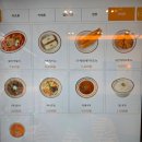 할리스오산궐동점 | [오산] 두툼한 돈카츠와 쫄돈이 있는 아이랑 가기좋은 돈카츠 맛집 유미카츠