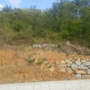 고흥목장 티스토리