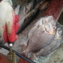 죽촌민박 이미지