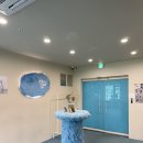 인천 증명사진 맛집 ‘시안 사진관’ 부천점 내돈내산 후기