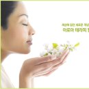 슈퍼아로마오일 이미지