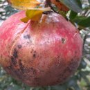 장세영이용소 이미지