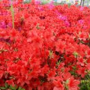 이마트 약국 이미지