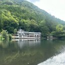 쑥먹은 염소 | 유후인 플로랄빌리지 긴린코 호수 부모님 - 후쿠오카 일일 버스투어