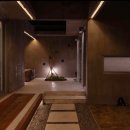 제주애단비 마주 이미지