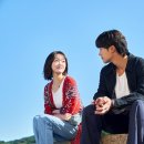 플랑크톤 JTBC