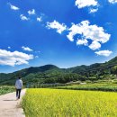 호성계곡 이미지