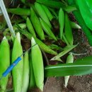 부춘농장 이미지