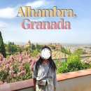 나시리 | 스페인 그라나다 알함브라 궁전 예약방법 상세와 나시리궁 입장(8월 내돈내산, 솔직후기)