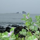 숨비소리 이미지