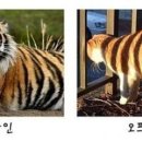 팀컴퓨터 이미지