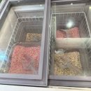 하나로피자 앤 푸드 | 의정부 민락동 초밥 맛집 쿠우쿠우 골드 민락점 평일디너