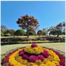 행정사사무소 사람들 이미지