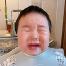 개미어린이집 - 목포시 | 일본 육아일기 * 어린이집 첫 등원 후기ㅋ