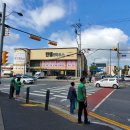 유성초교 이미지