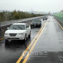 남천로 이미지