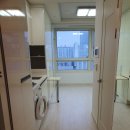 비즈트위트 레인보우 이미지