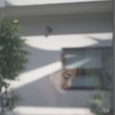 티엔케이