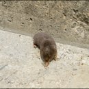 (주)대해 네이버블로그