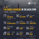 유로메드 이미지