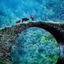 파워라인 이미지