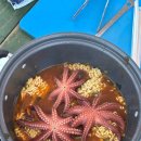 남해아라힐펜션 이미지