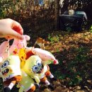 청소년상담사 자격증 3급 이미지