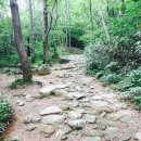녹향월촌 한우명품관 이미지