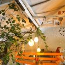 미식본좌 이미지