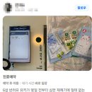 온새동물의료센터 이미지