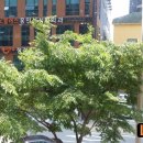 센텀브라이언빌딩 이미지