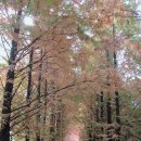 광광 농원 이미지