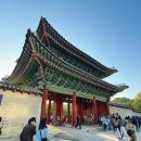 창경궁 홍화문 옆 | 창경궁 궁궐야행 - 고즈넉한 야경과 함께했던 해설 가이드 투어 후기 / 좋았던 점과 아쉬웠던 점