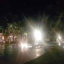 엠알렌트카여행사 이미지