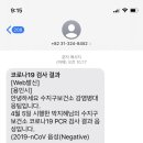벌떡이야