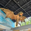 워너짐 가야 | 포터 스튜디오] 할인 코드와 꿀팁이 포함된 덕후라면 가야 할 워너 브라더스 스튜디오 투어 방문 후기 1탄