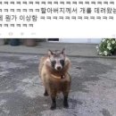 갑자기 영균이 최애 버즈노래 궁금해짐 이미지